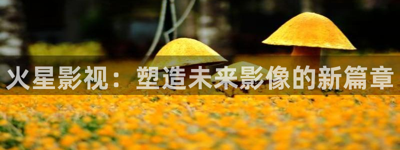 到西瓜视频