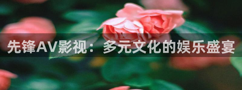 我们的婚姻免费观看全集西瓜