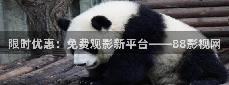 西瓜小剧场免费观看