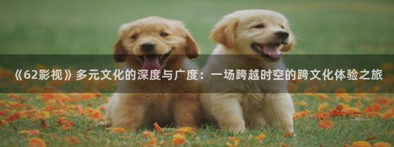 西瓜视频1