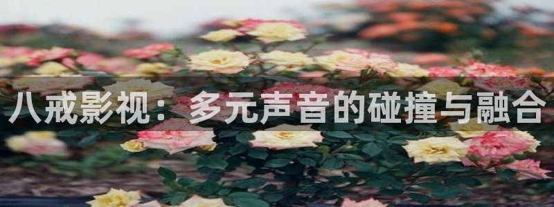 西瓜视频网站免费观看