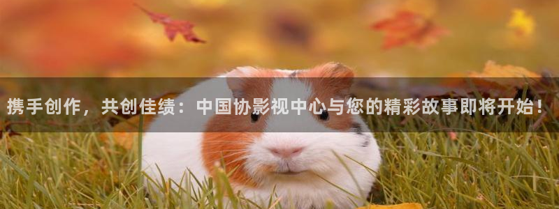 琅琊榜在线观看免费观看西瓜影院