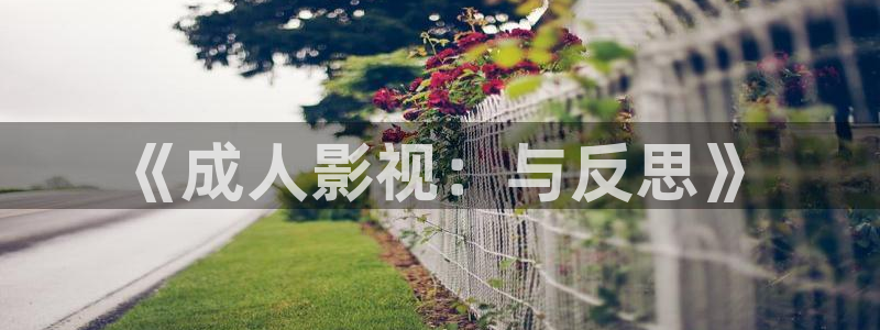 龙根电视剧免费播放西瓜影院
