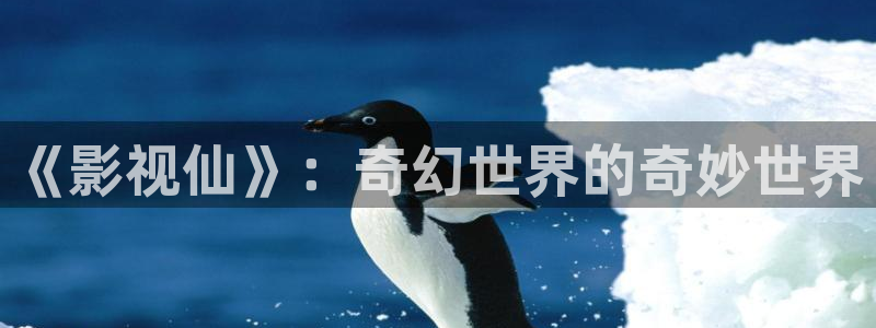 围城电视剧完整版免费观看西瓜