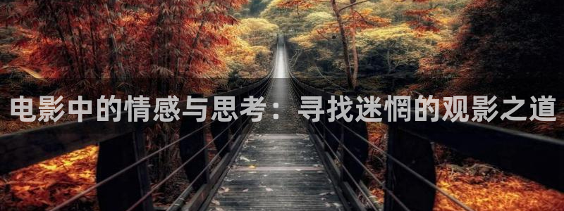 你好星期六免费观看完整版西瓜