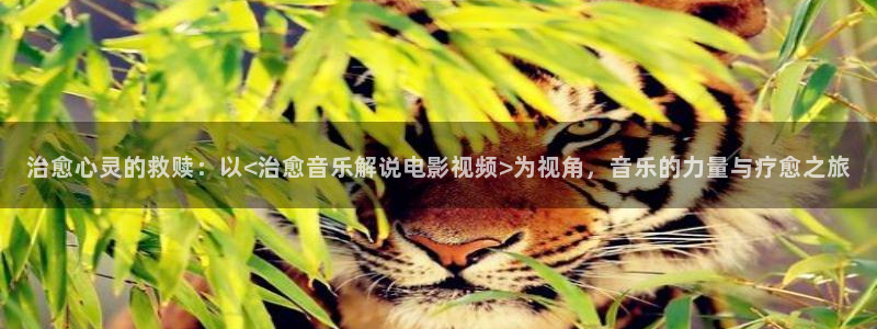 表妹西瓜影院