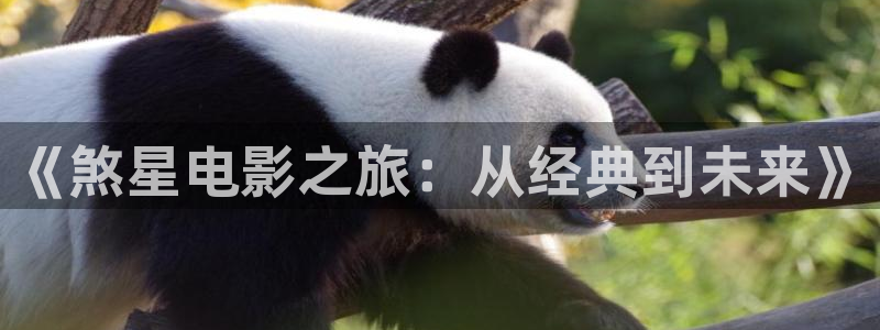 祝卿好免费观看西瓜