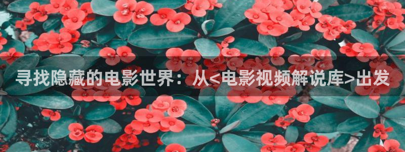 姐妹病毒西瓜影院