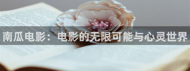西瓜电影院在线免费观看