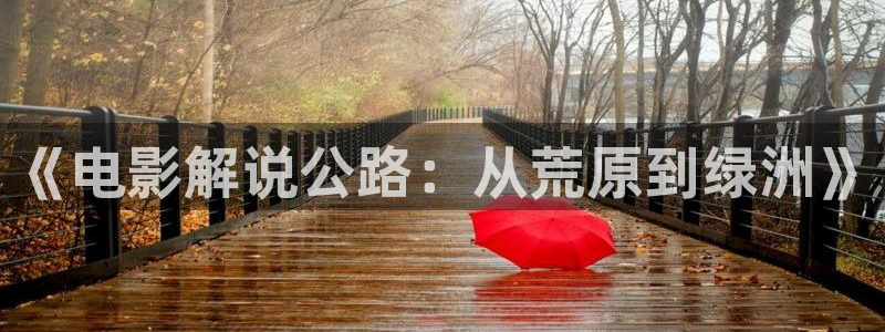 到西瓜视频