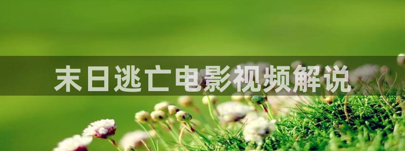我们一起摇太阳西瓜免费观看