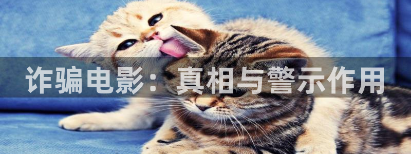 西瓜影院韩国理论影片