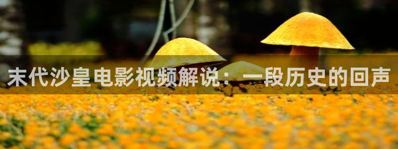 年轻的母亲西瓜影院
