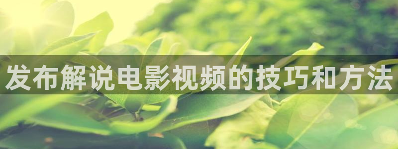 新闻图片